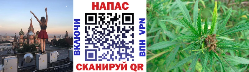 Наркошоп купить Марихуана  Меф  A PVP  Кетамин  Кокаин  ГАШ  Гвардейск