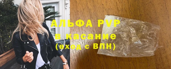 ГАЛЛЮЦИНОГЕННЫЕ ГРИБЫ Козловка