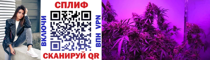 Купить закладки  Гвардейск  Марихуана OG Kush 
